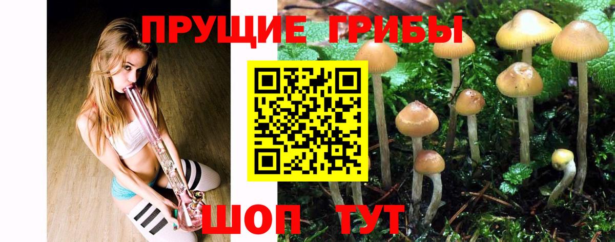 Галлюциногенные грибы ЛСД  Вход с VPN  Псилоцибиновые грибы GOLDEN TEACHER  Вятские Поляны 